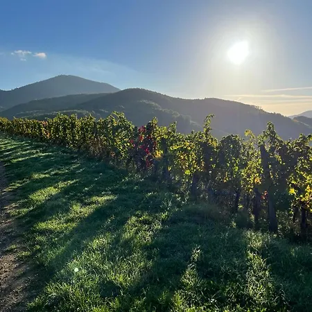 Le Chalet - Les Terrasses D'albe - Grande Maison Au Pied Du Vignoble, Calme - Terrasse - Parking Gratuit